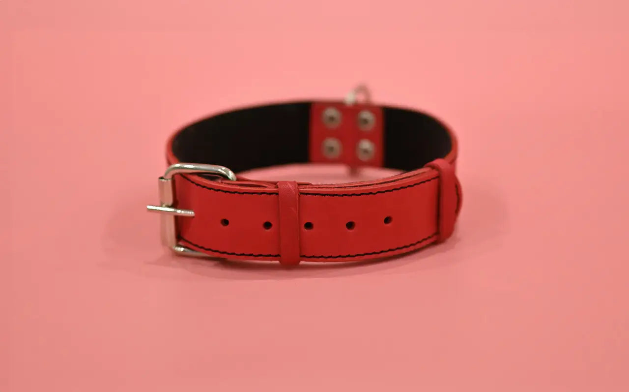 Leather collar with soft lining OSH 42-56cm