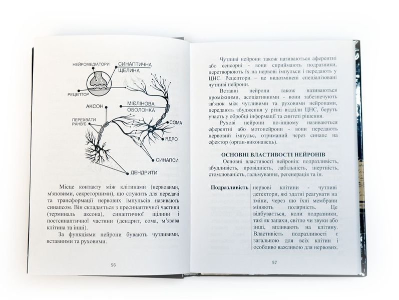 Аматорське та службове собаківництво 12014419 фото Аматорське та службове собаківництво 12014419 фото