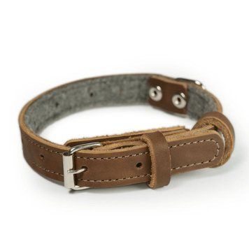 45 см | Нашийник шкіряний DogStock | Ширина 20 мм | Темно-коричневий CL2LB45 фото
